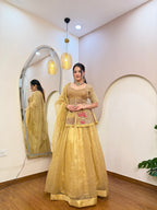 E324 AARFA REGAL LEHENGA