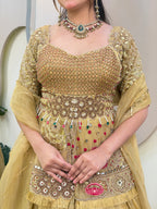 E324 AARFA REGAL LEHENGA