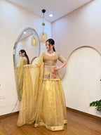 E324 AARFA REGAL LEHENGA