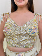 E258 AARFA REGAL LEHENGA