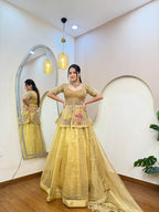 E324 AARFA REGAL LEHENGA