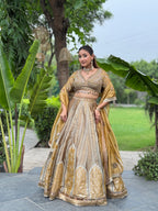 E417 AARFA REGAL LEHENGA