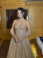 E368 AARFA REGAL LEHENGA