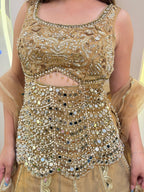 E629 LEHENGA CHOLI
