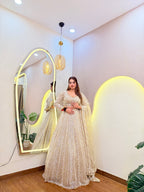 E665 AARFA REGAL LEHENGA