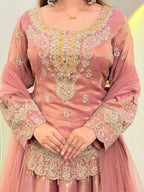 E593 LEHENGA CHOLI