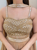 D770   LEHNGA CHOLI
