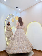 D375  LEHNGA CHOLI