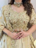 D238 partywear lehnga