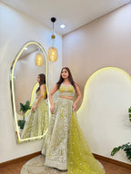 S249  LEHNGA CHOLI