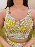 S249  LEHNGA CHOLI