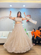 D117 partywear lehnga