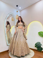 D636  LEHNGA CHOLI